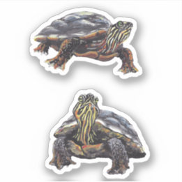 Painted Turtle Vinyl Sticker