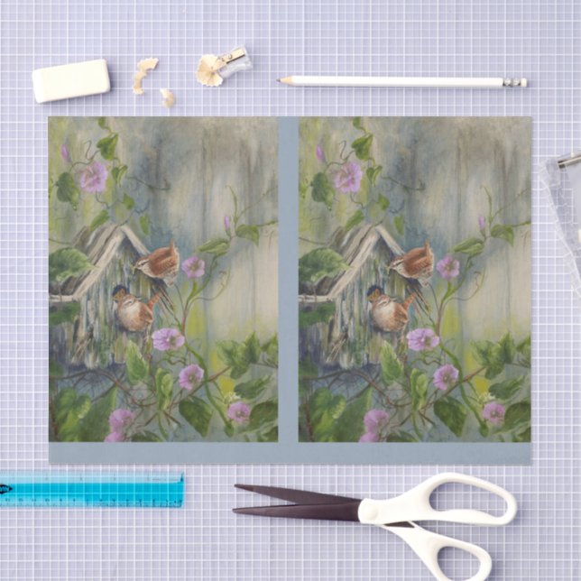 Painted Wrens DBL Seidenpapier (Handwerk)
