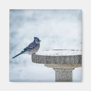 Painterly gegenüber magnet