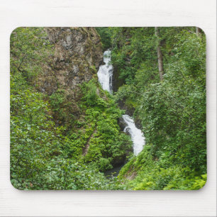 Painterly Plunderbird Mousepad