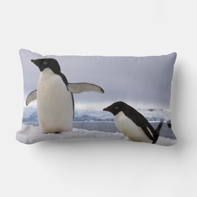 Pair Adelie Pinguine Antarktis Lendenkissen (Vorderseite)
