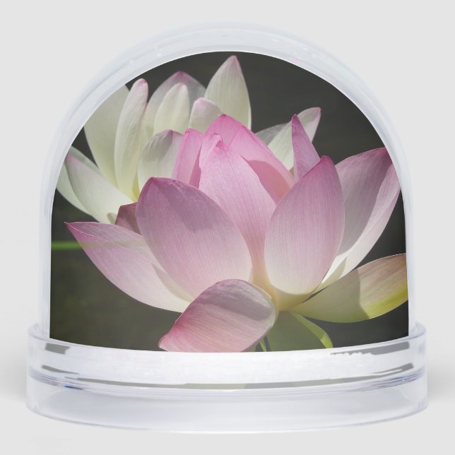 Pair of Lotus Flowers II Schneekugeln (Vorderseite)