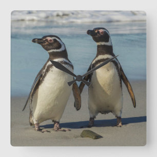 Pair of penguins on the beach quadratische wanduhr