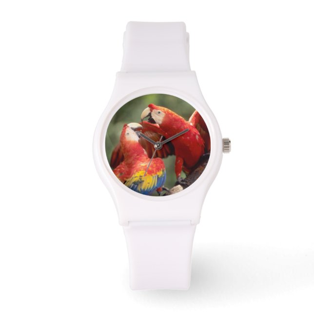 Pair of Scarlet Macaws Armbanduhr (Vorderseite)