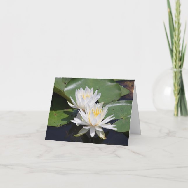 Pair of Water Lilies Note Card Dankeskarte (Vorderseite)