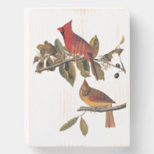 Paire cardinale Audubon en amandiers sauvages