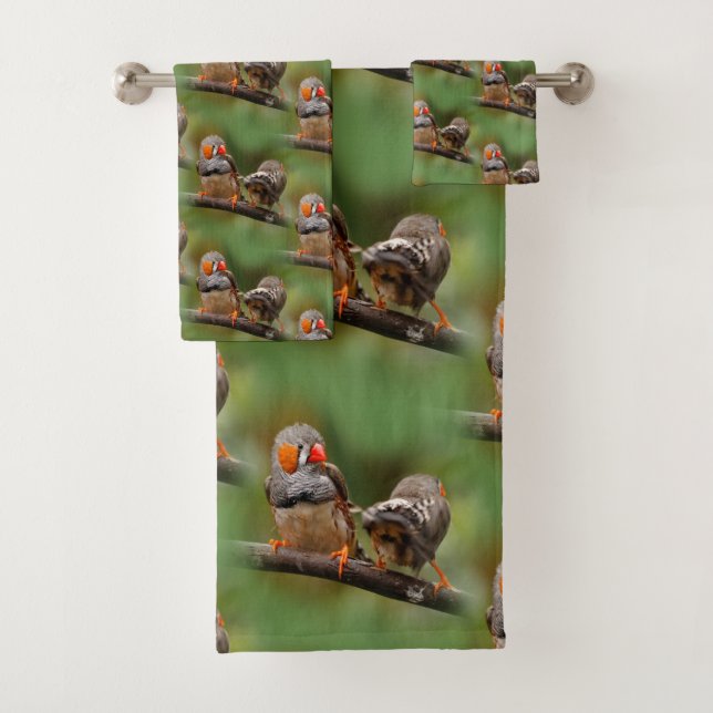 Paire Cheeky de Zebra Finches Songbirds (En situation)