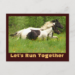 Paire de cartes postales Pintos