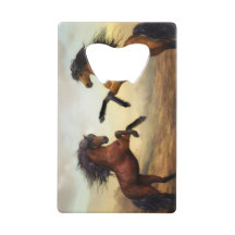 paire de chevaux sauvages