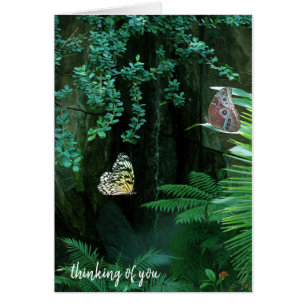 paire de papillons dans le jardin tropical