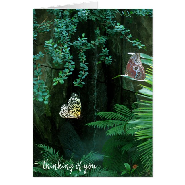 paire de papillons dans le jardin tropical (Devant)