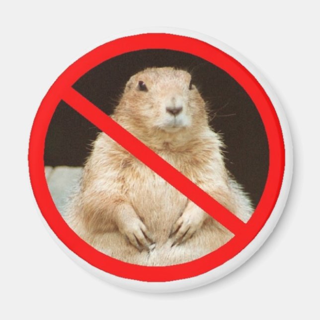 Pairiedoggin Magnet (Vorne)