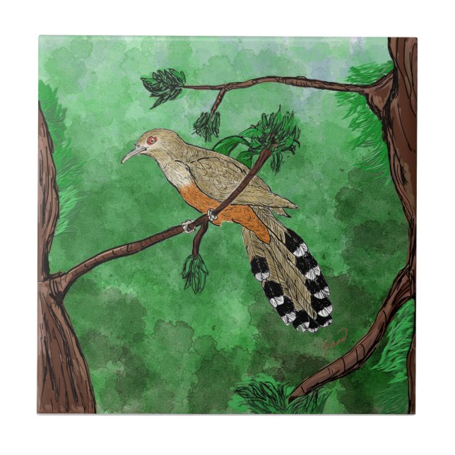 Pájaro Bobo Mayor/Puertorrican Lizard Cuckoo Tile Fliese (Vorderseite)