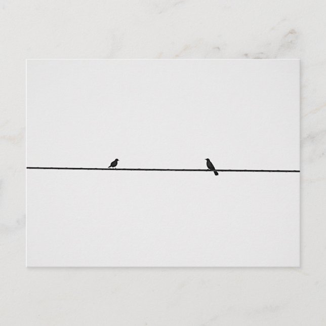 Pájaros Amigos Postkarte (Vorderseite)