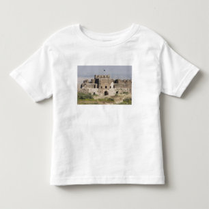 Pakistan, Dina. Talaqi Tor aus Sicht Kleinkind T-shirt