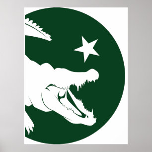 Pakistan Krokodile pakistanische Nationalflagge Poster