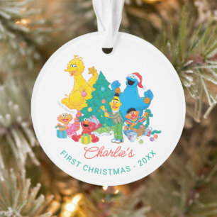 Pal de rue Sésame Ma première photo de Noël