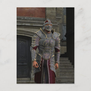 Paladin Postcard Postkarte