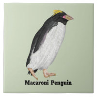 Paläeudyptes Extinct Pinguin