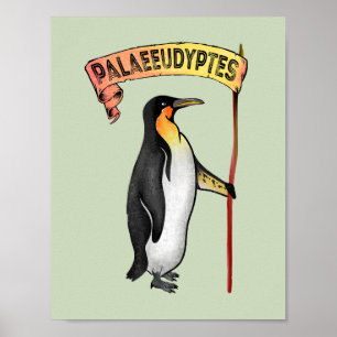 Paläeudyptes Extinct Pinguin Poster