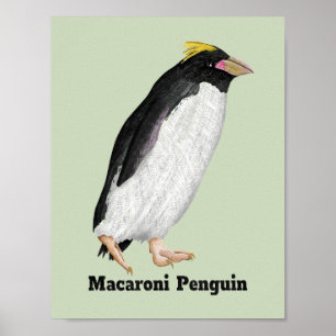 Paläeudyptes Extinct Pinguin Poster
