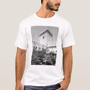 Palais DES Papes, Palais Vieux von Benedict XII T-Shirt