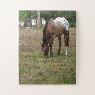 Palamino Pferdepuzzle