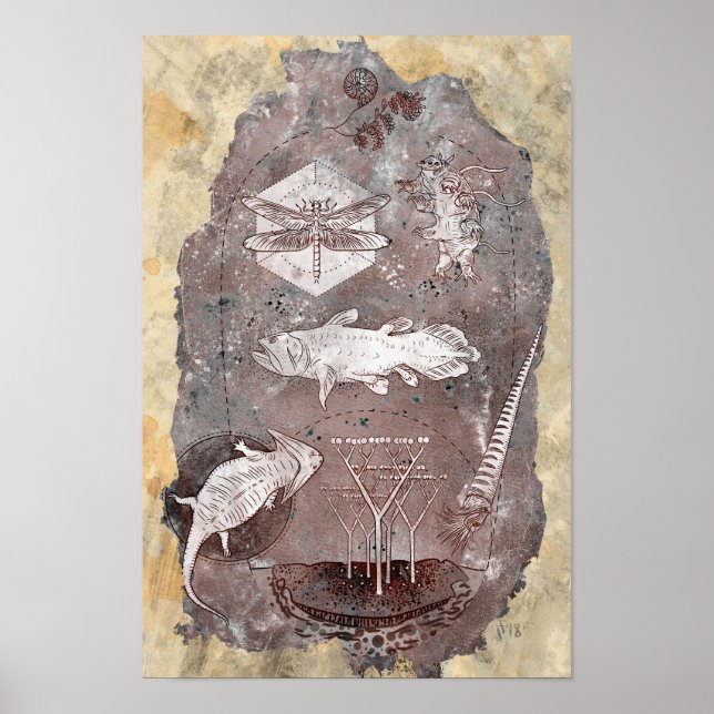 Paläozoikum Poster (Vorne)