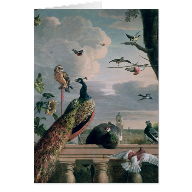 Palast von Amsterdam mit exotischen Vögeln (Vorne)