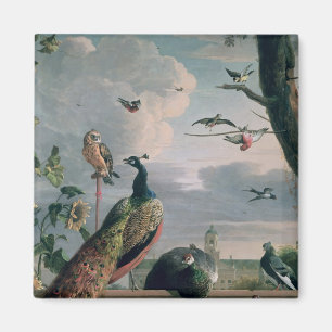 Palast von Amsterdam mit exotischen Vögeln Magnet