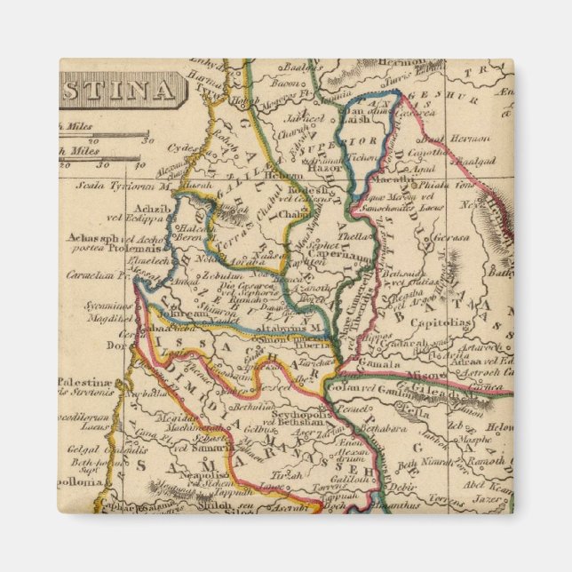 Palästina 5 magnet (Vorne)