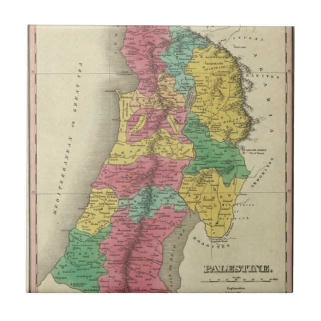 Palästina Fliese (Vorderseite)