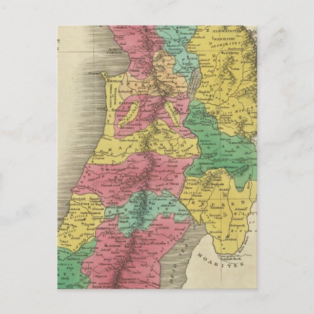 Palästina Postkarte (Vorderseite)