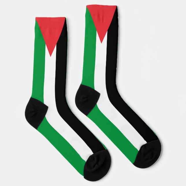 Palästinafahne patriotisch modern socken (Rechts)