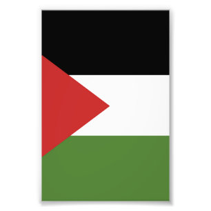 Palästinensische Flagge Fotodruck