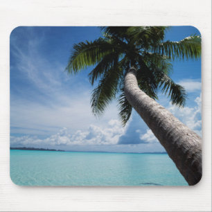 Palau, Mikronesien, Palme an der Palau-Lagune Mousepad