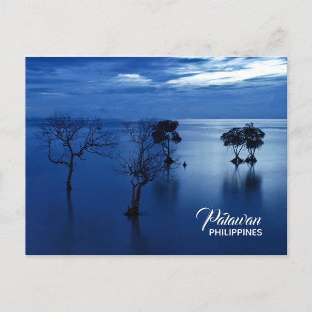 Palawan Philippines Postcard Postkarte (Vorderseite)