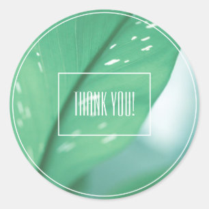 Pale Green Leaf Pflanze Danke Sticker
