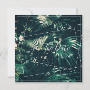 Pale Green Palm Tree Leaf Enregistrer La Carte Pla