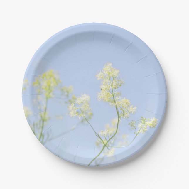 Pale Pastel Blue Sky Wilde Blume Meadow Pappteller (Vorderseite)