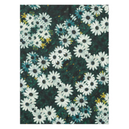 Pale Pastell Namaqualand Osteospermum Blume Tischdecke