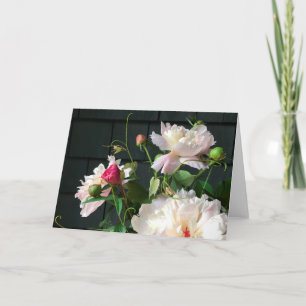 Pale Pink Peonies 2020 Karte