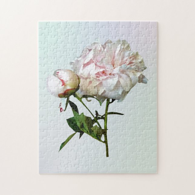Pale Pink Peony and Bud (Vertikal)