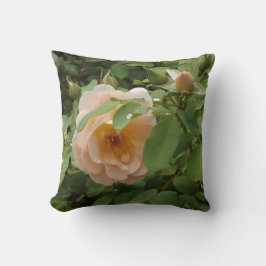 Pale Pink Rose Kissen