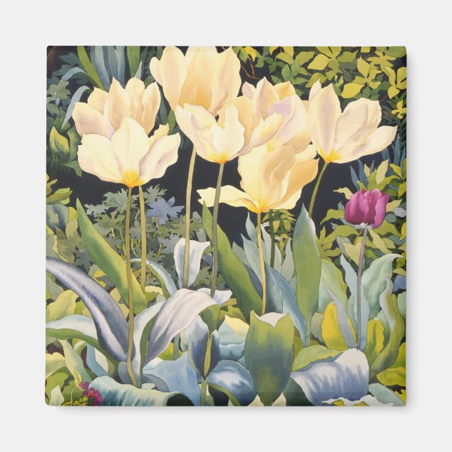 Pale Tulips Magnet (Vorne)