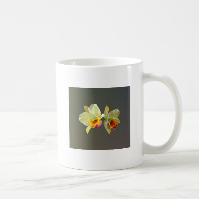 Pale Yellow Cattleya Orchidées Mug de café (Droite)
