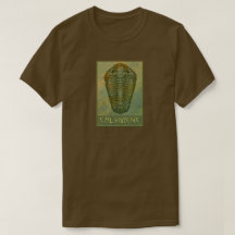 Paleo-chic Calymene Trilobit in Grün