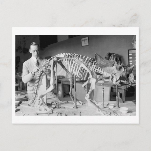 Paleontology Scientist Baby Dinosaur Vintag Postkarte (Vorderseite)