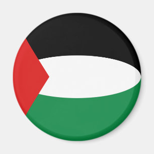 Palestine Fisheye Flag Magnet