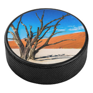 Palet De Hockey Arbre mort à Deadvlei, Namibie